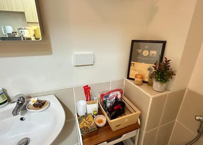 Cozy Qc With Karaoke Pool & Fast Wifi Apartment